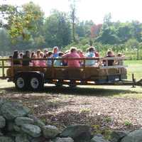 <p>It&#x27;s not a fall festival without a hay ride at Ambler Farm&#x27;s fall festival Sunday.</p>