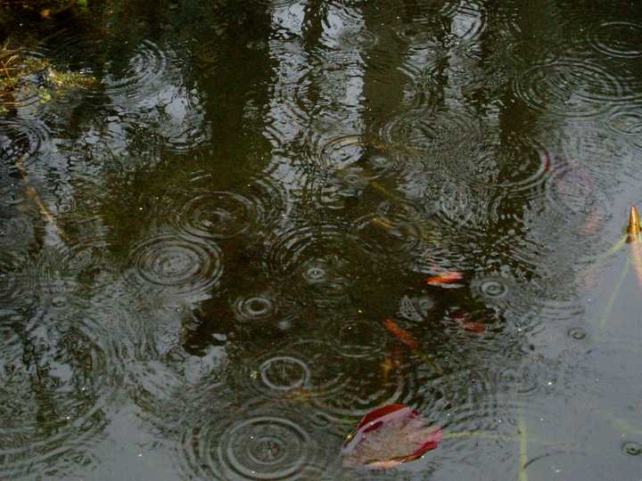 Rain will linger in Westchester through Wednesday. 