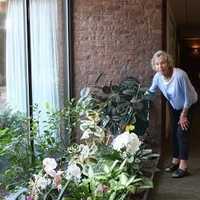 <p>Sheila McMann cares for Wavenys indoor plants.</p>