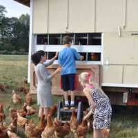 <p>Fourth-graders explore the barns. </p>