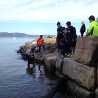 <p>Teams of students and faculty from Main Street school visited Matthiessen Park for its Hudson River Day. </p>