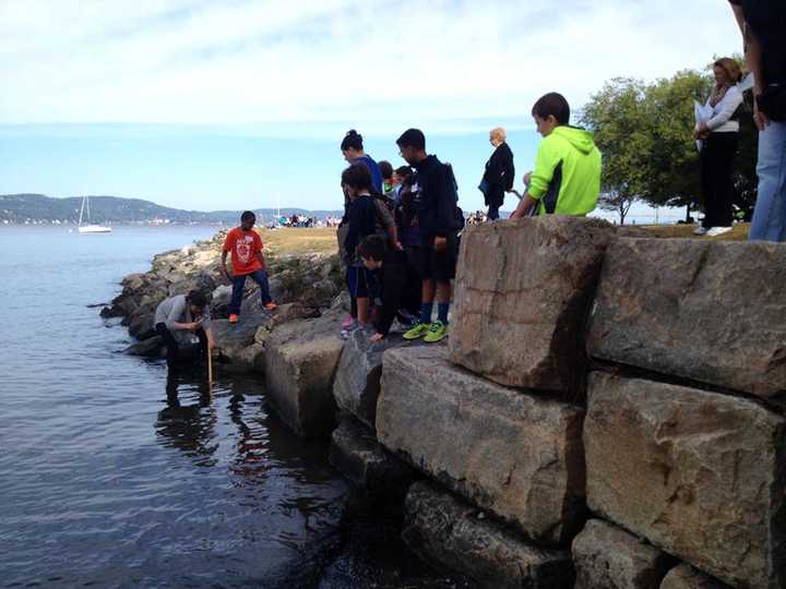 Teams of students and faculty from Main Street school visited Matthiessen Park for its Hudson River Day. 