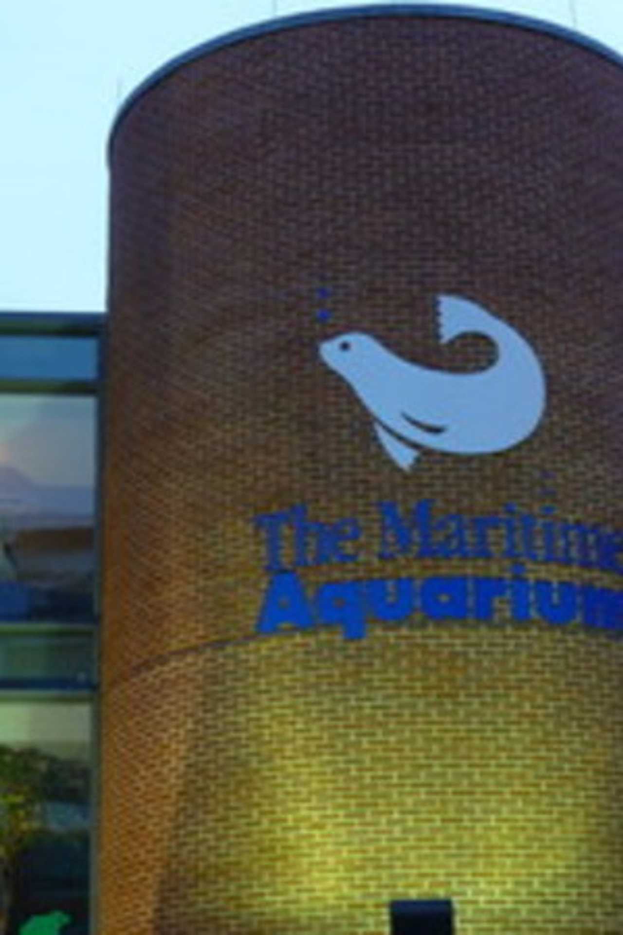 Maritime Aquarium Salutes Norwalk With Free Admission Saturday ...