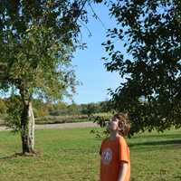 <p>North Salem residents Matt Buchanan (left) and Ian Woloshyn (right), both 11, on an apple picking trip.</p>