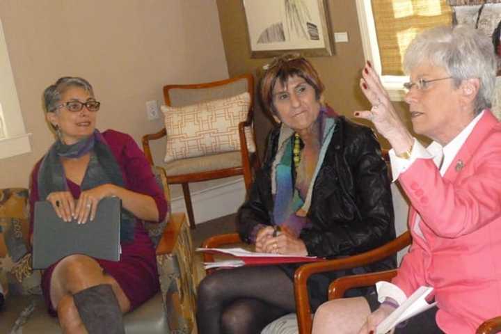 Lt. Gov. Nancy Wyman, right, makes a point during a panel discussion Monday in Stamford. Looking on are U.S. Rep. Rosa DeLauro, center, and Fran Pastore, CEO of the Women&#x27;s Business Development Corporation.