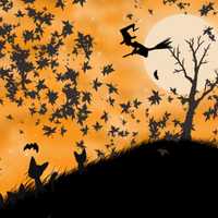 <p>The Rock ‘N Roar Halloween party will be Friday, Oct. 30, from 7 to 11 p.m. at Lasdon Park, Arboretum and Veterans Memorial in Somers. </p>