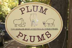 For The Best Cheese Please, Its Plum Plums In Pound Ridge