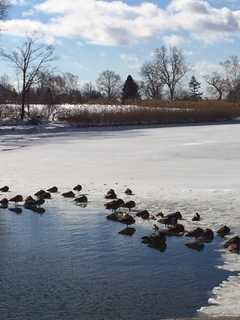 With Frigid Cold Predicted, Bridgeport Opens Warming Centers