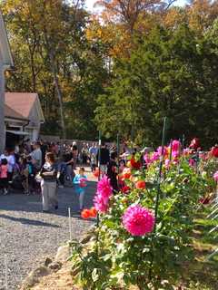 Hartsdale's Spooktoberfest Creeping Up Fast