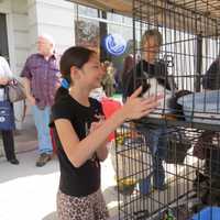 <p>The pet adoption tent was one of the more popular destinations at the Bronxville Sidewalk sale.</p>