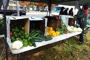 Danbury Farmers Market Joins Food Day Celebration