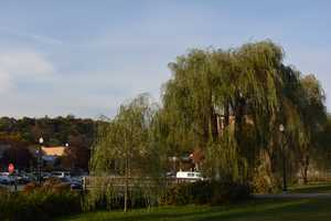 Mount Kisco Scores High In Economic Growth Survey
