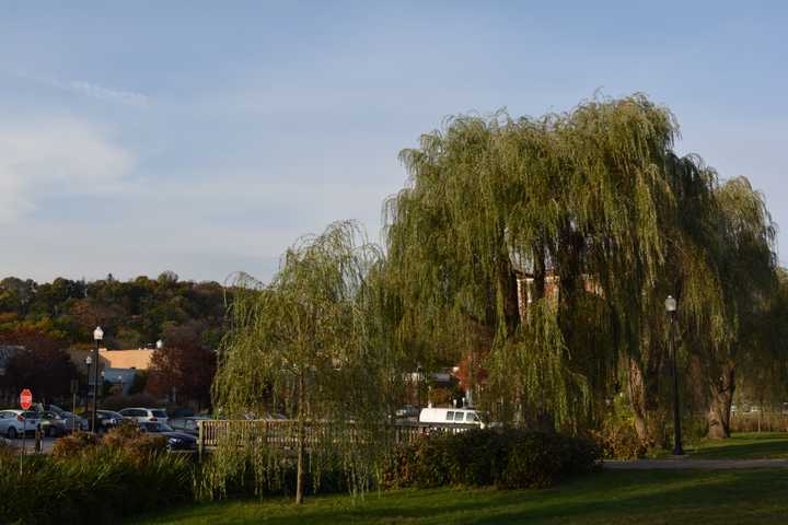 Mount Kisco Scores High In Economic Growth Survey