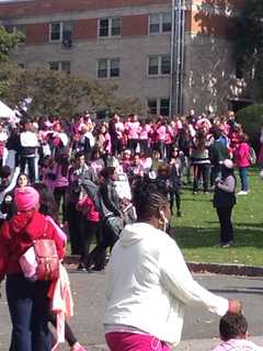 Walk At Rye Playland Supports Pancreatic Cancer Research