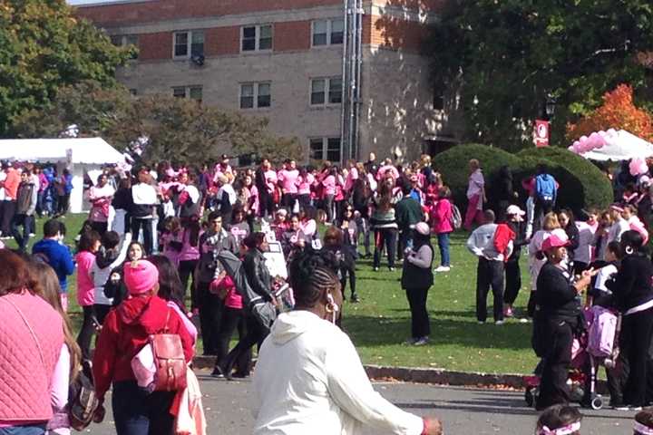 Wearing Pink But Raising Green At Purchase Walk Against Breast Cancer