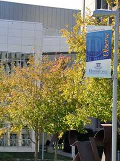 Bridgeport's Housatonic Museum Of Art Receives Stewardship Grant