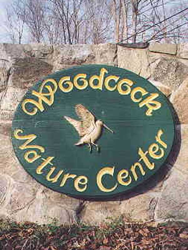 Stay Out Late For Family Howl Prowl At Wilton's Woodcock Nature Center