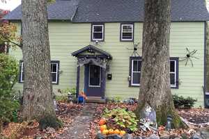 Rye Gets In Halloween Spirit