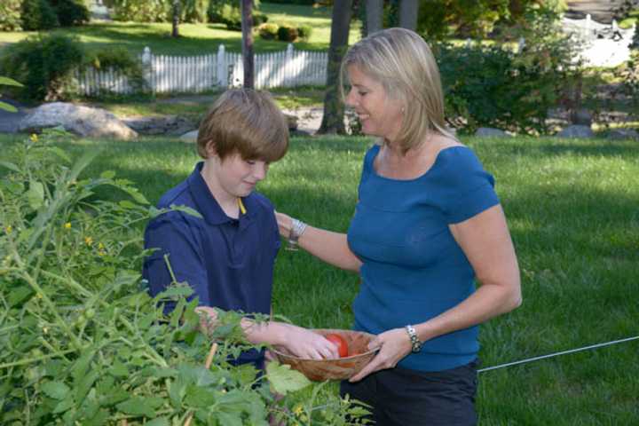 Fawcett Endorsed By Sierra Club In Fairfield Senate Race