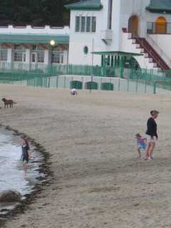 Rye Man Disposes Guns Along Playland's Boardwalk