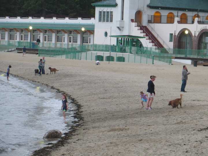 Gov. Andrews Cuomo proposes a tunnel across Long Island Sound to Westchester, but where will it land. Here is a photo of Rye Playland&#x27;s waterfront beach.