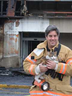 Embezzlement Charges Against Former Mahopac FD Treasurer Tops Week’s News