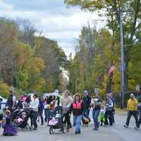 <p>Marchers in the 18th annual Halloween parade in Somers.</p>