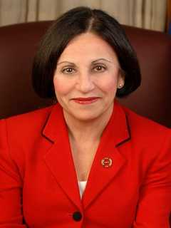 Republicans Seek To Fend Off Democratic Challengers In Wilton 