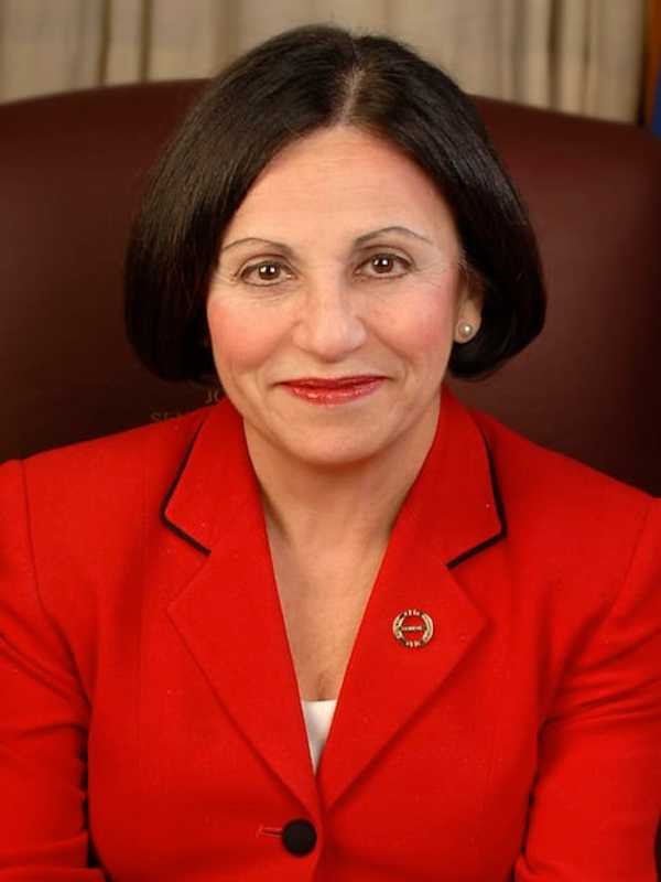 Republicans Seek To Fend Off Democratic Challengers In Wilton 
