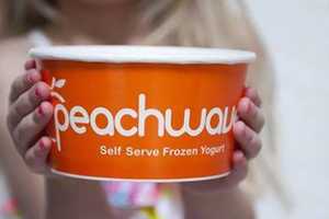 New Canaan Peachwave Hosts Free Preschool Science Program