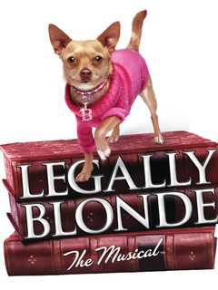 White Plains Students Perform 'Legally Blonde' At City Place