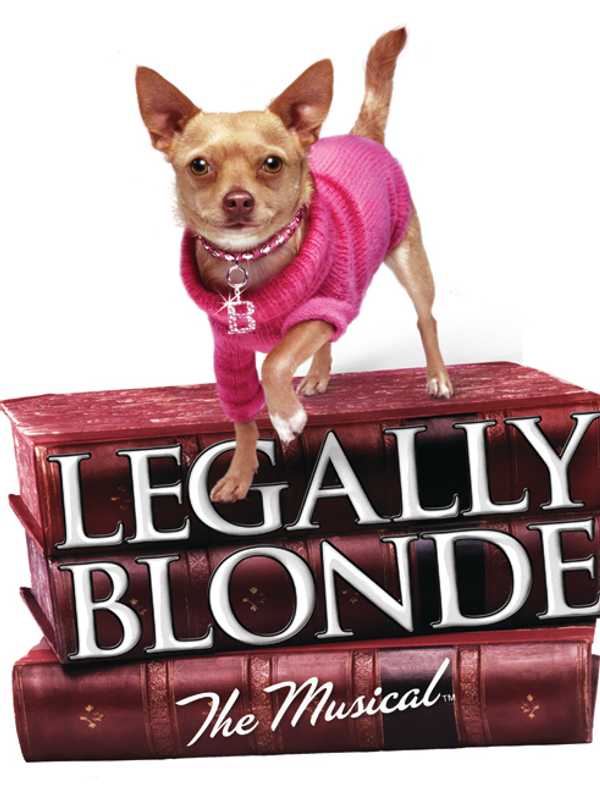 White Plains Students Perform 'Legally Blonde' At City Place