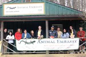 Danbury Hosts Early Childhood Fair With Music, Animals And Information
