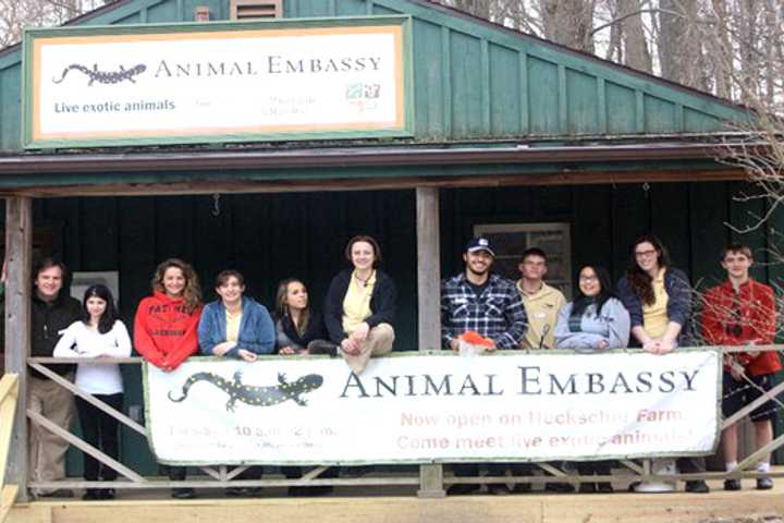 Danbury Hosts Early Childhood Fair With Music, Animals And Information