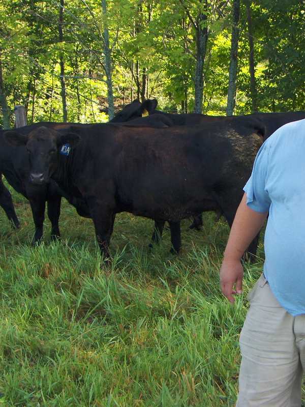 The Outpost In Bedford Serves Up Organic, Non-GMO Food Direct From Farmers