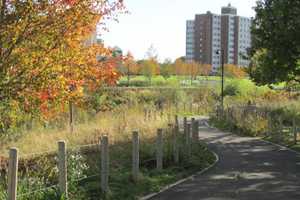 Stamford Receives $264K State Grant To Add Open Space Along Mill River