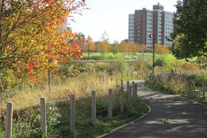 Stamford Receives $264K State Grant To Add Open Space Along Mill River