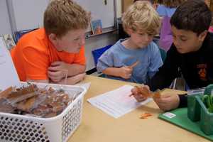 Croton Elementary School's Buddy Program Benefits Younger Students