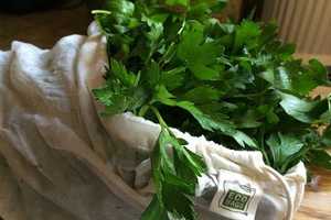 "Bagging It" At Ossining's Farmers Market 