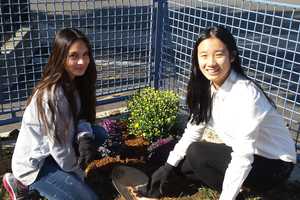 Ridgefield Park's Village Gardeners Seek Volunteers For Spring Planting