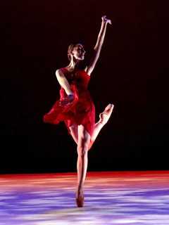 Purchase Dance Company Schedules College Performances