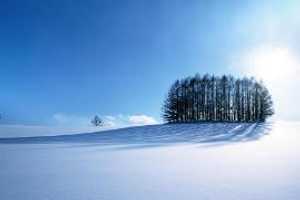 St. Catherine Of Siena Church In Greenwich Hosts 'A Winter Portrait'
