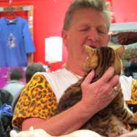 <p>Westchester County cat lovers came together for the annual cat show over the weekend. </p>