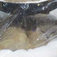 <p>Not all cats were as enthused as the others at the Westchester County Center.</p>