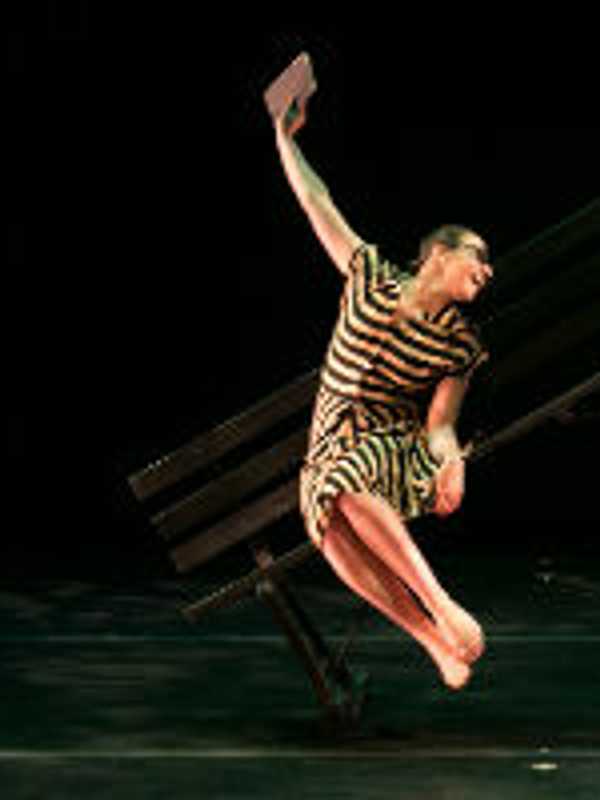 Harrison's Manhattanville Dance Concert Starts Nov. 20