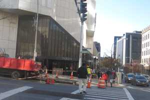 A New Traffic Light Blooms In Downtown White Plains