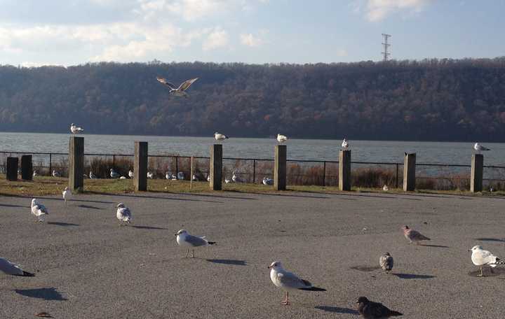 The Yonkers waterfront will light up on the Fourth of July with fireworks.