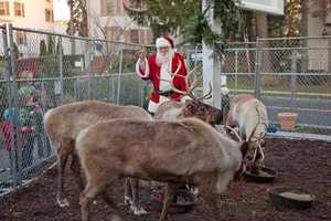 Greenwich Gets Ready For The Holiday Stroll Weekend 