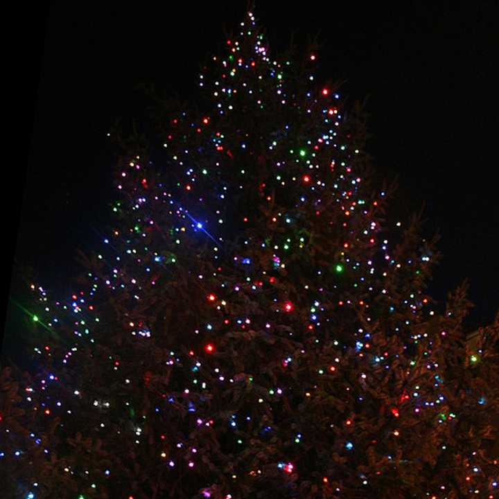 Yonkers will hold its annual Christmas tree lighting ceremony on Tuesday, Dec. 2. 