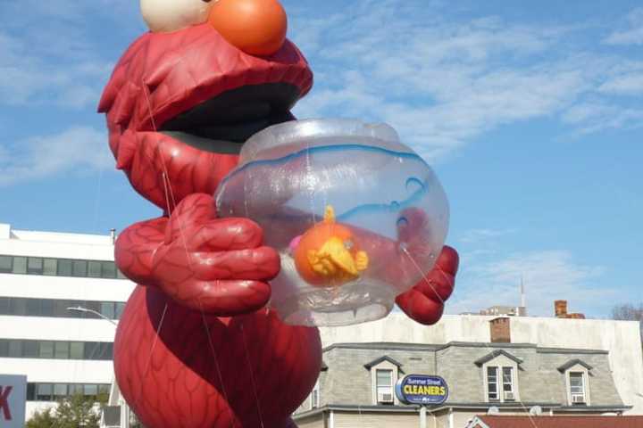 Tens Of Thousands Turn Out To Enjoy UBS Parade In Downtown Stamford